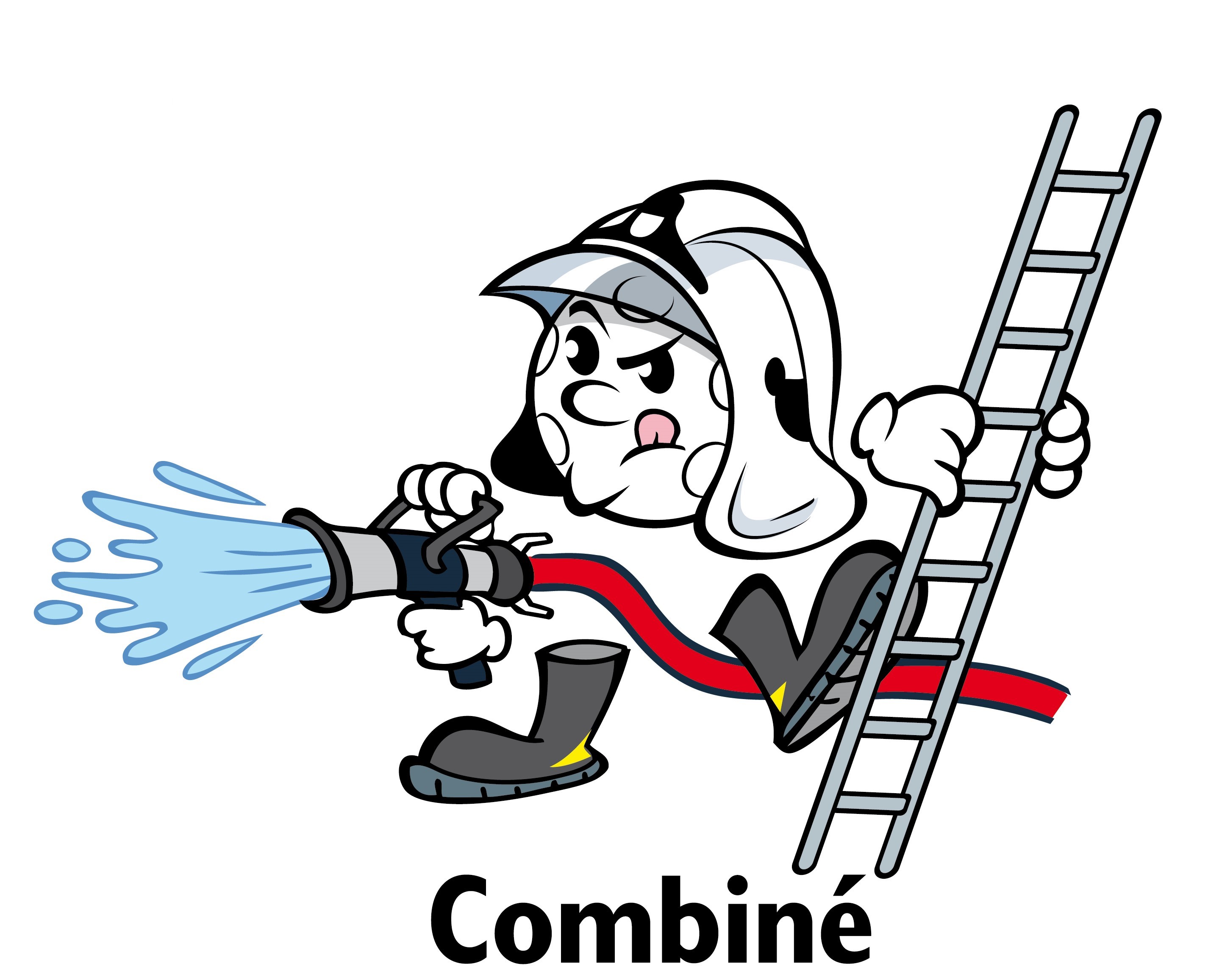 FVSP COMB
