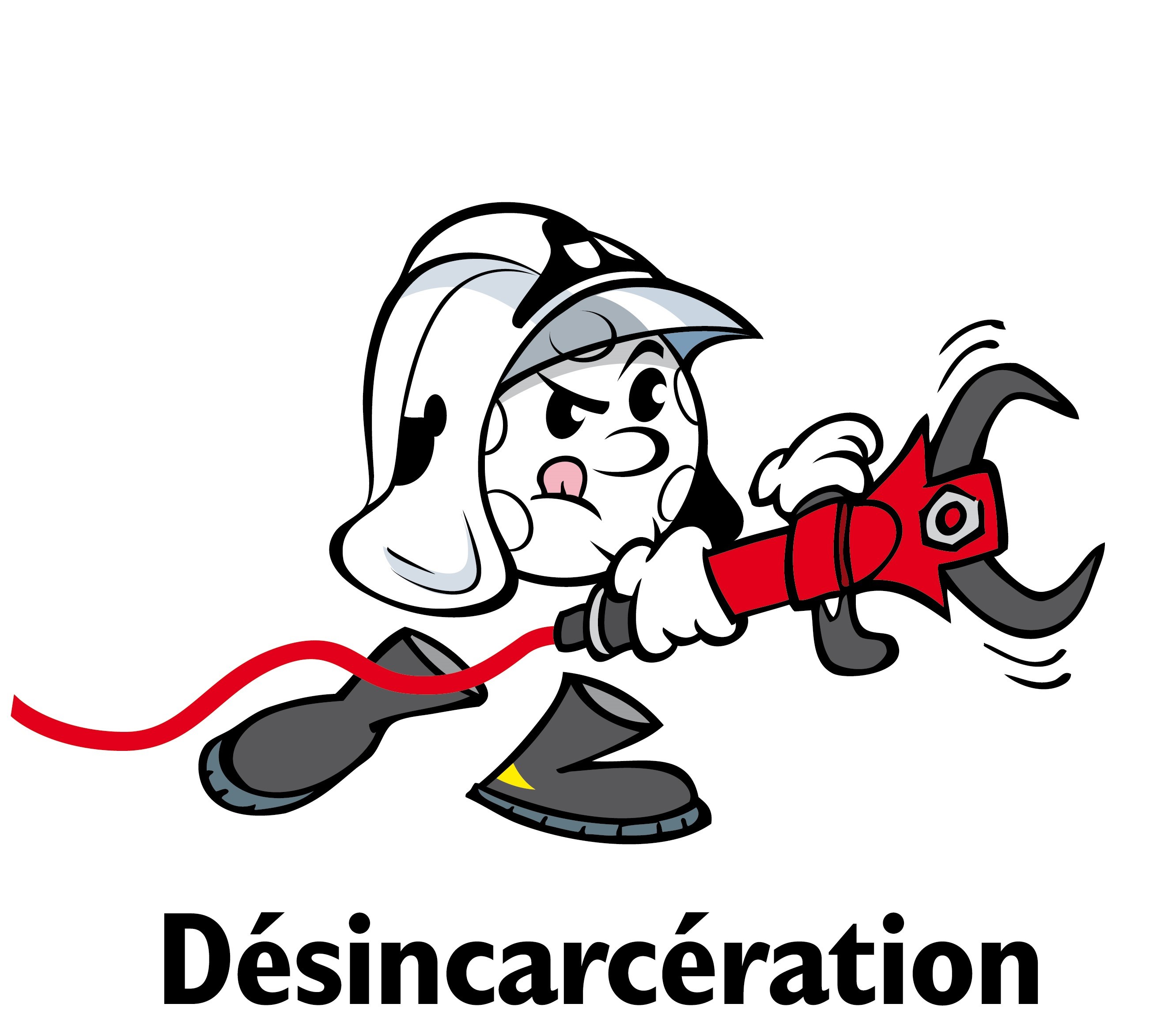 FVSP DESINCA