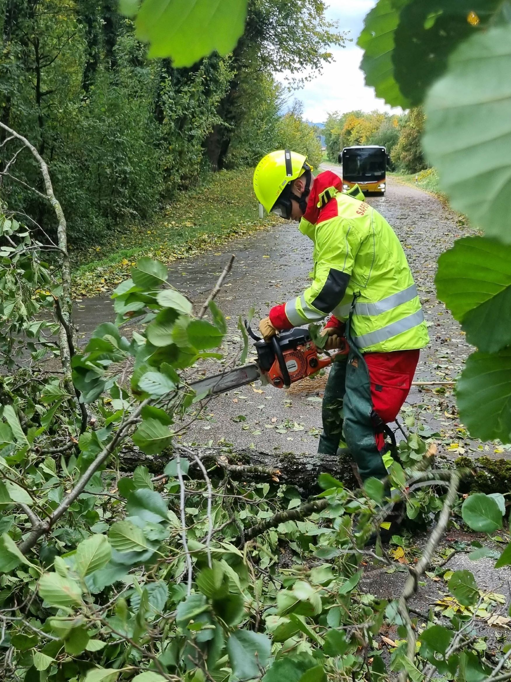 2025.10.23 Chute dArbre Rte de Genolier Duillier 6